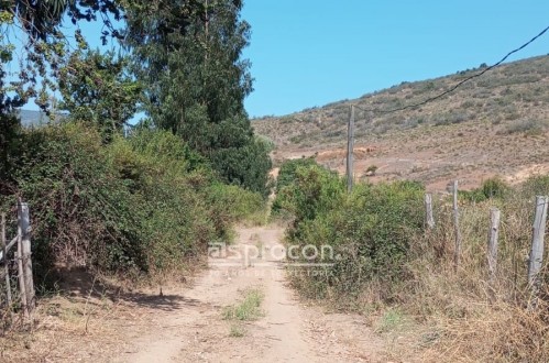 Burott Propiedades