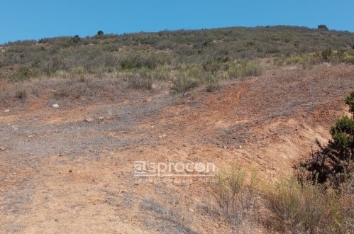 Burott Propiedades