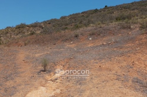 Burott Propiedades