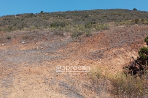 Venta de Terrero de 20,6 Héctareas